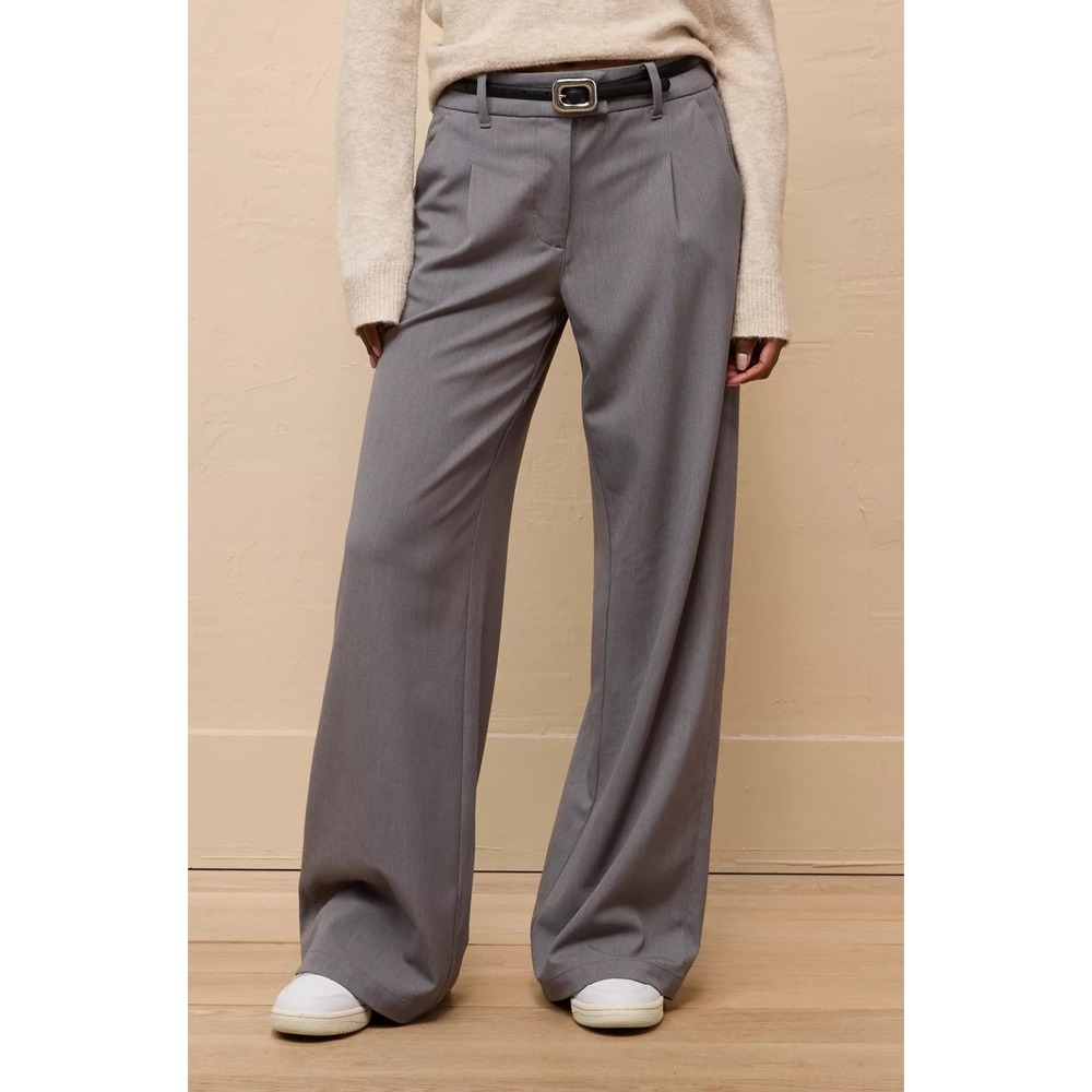 American Eagle Stretch Poppy Trouser Pleated Wide Leg Pants Career Size 000